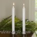 Birch Lane™ Tapered Candlesticks BL14921